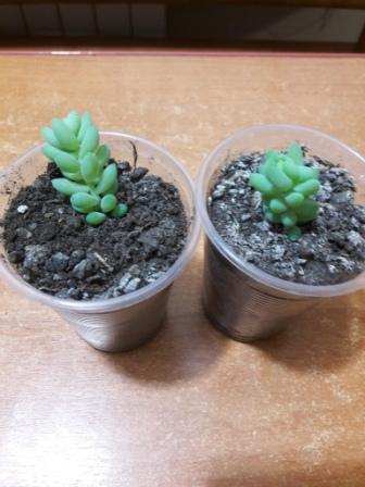 20160424_233141.jpg