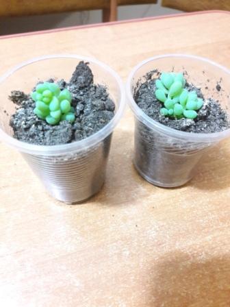 20160424_233209.jpg