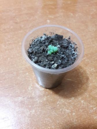 20160424_233243.jpg