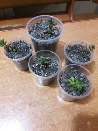 20160424_233618.jpg
