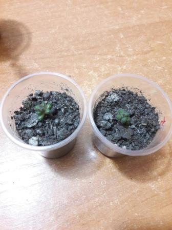 20160424_233633.jpg