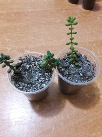 20160424_233753.jpg