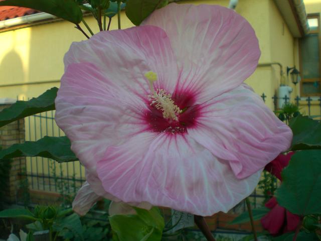 CIMG0191.jpg