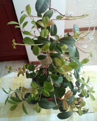 IMG_20160501_123410.jpg