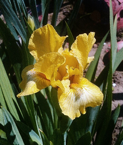 IMG_20160503_145954.jpg