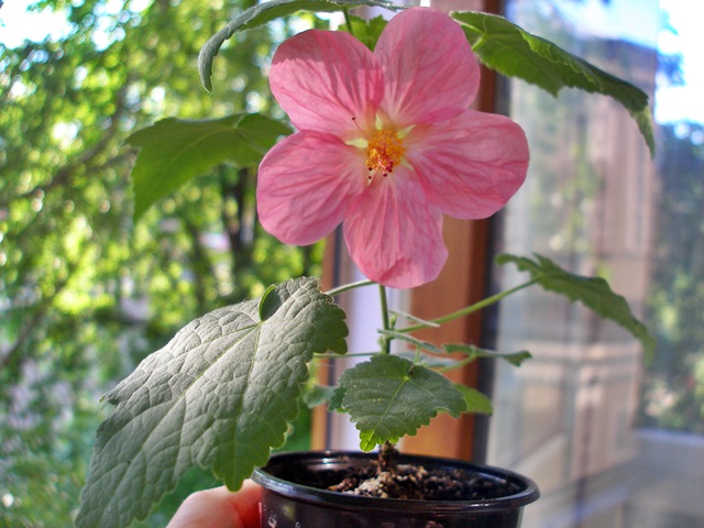 P1010097.JPG