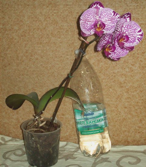 100_1609.JPG