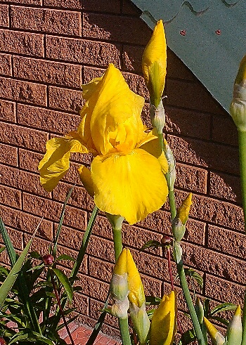 IMG_20160513_204923.jpg