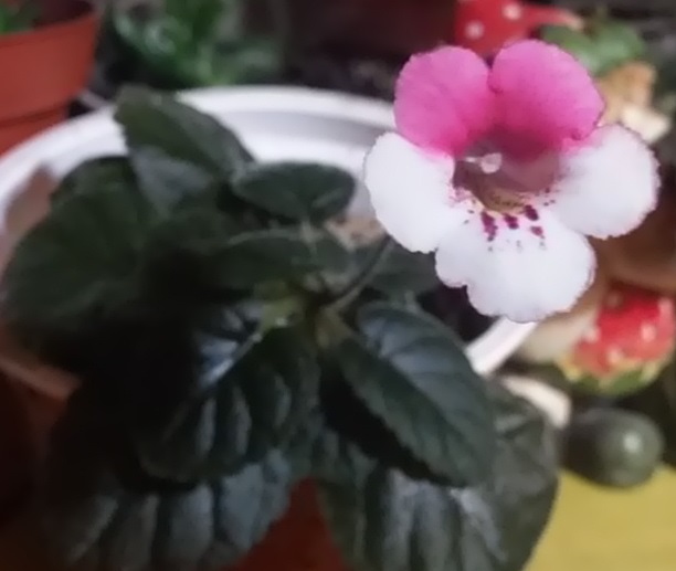 20160215_203319.jpg