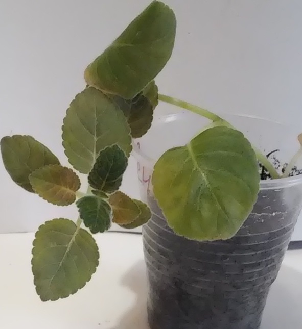 20160503_185737.jpg