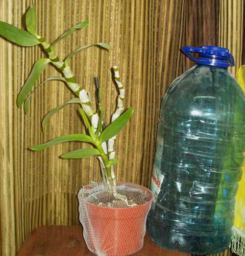 100_1636.JPG