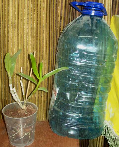 100_1635.JPG
