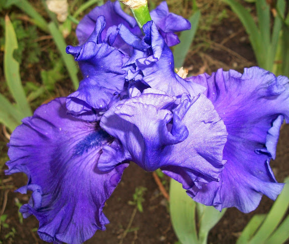 100_2622.jpg