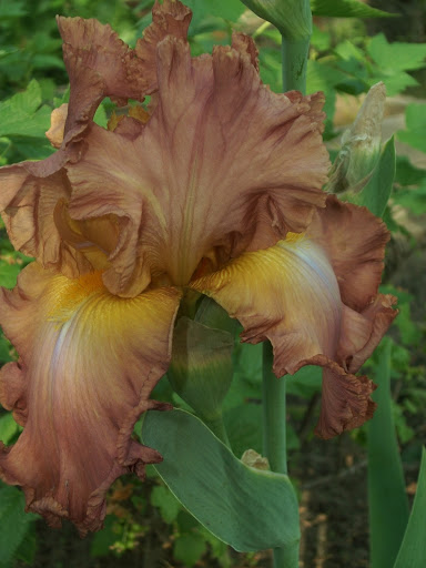 100_1698.jpg