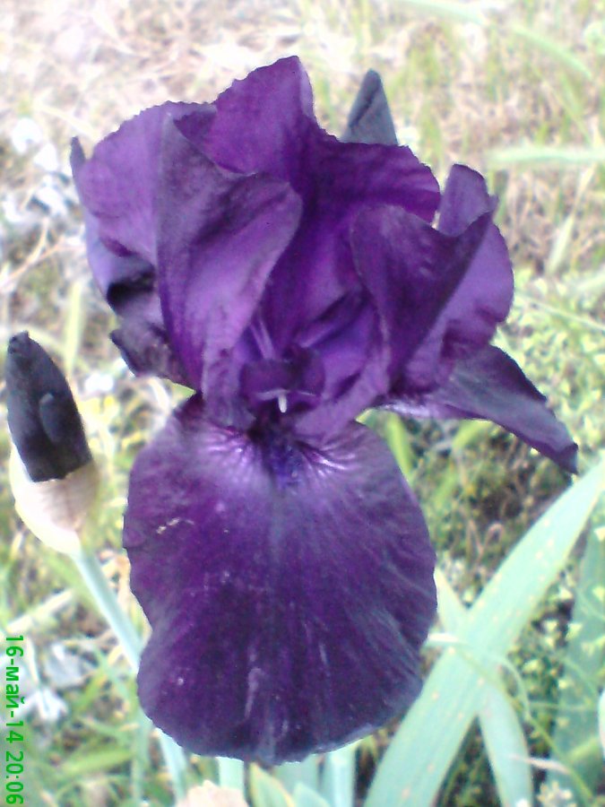 72cacc9c6f3fc4cebf6d0333b49967cb.jpg