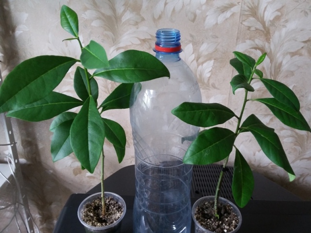 20160527_095456.jpg