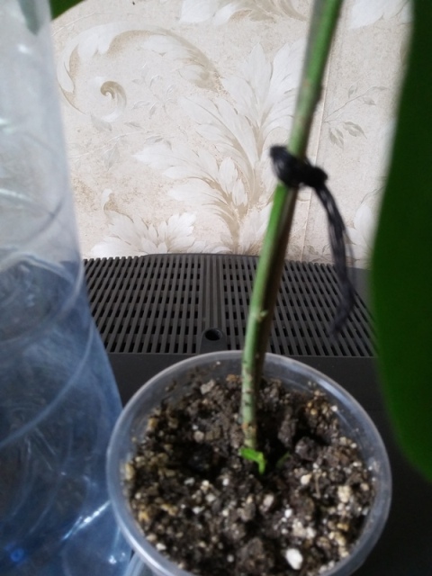 20160527_095516.jpg