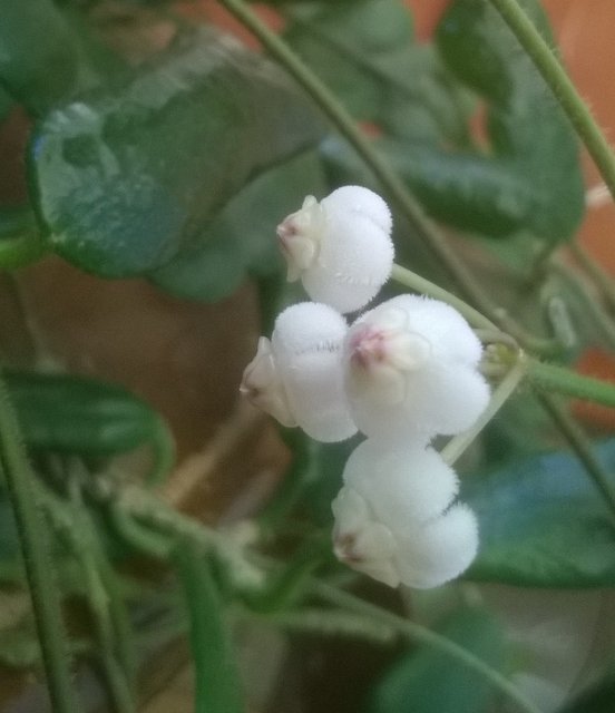 WP_20160521_012.jpg