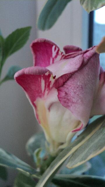rps20160529_224157_725.jpg