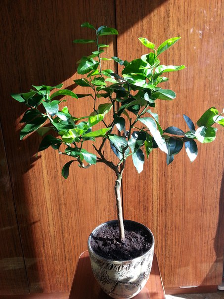 02g0XbhKc7k.jpg