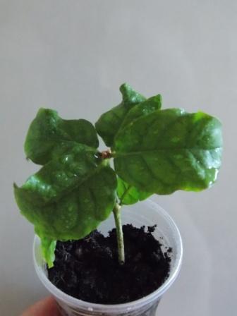 DSCN6182.JPG