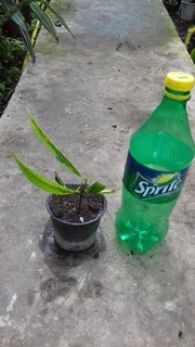 20160530_110045.jpg