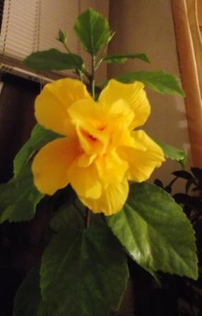 DSCN6265.JPG