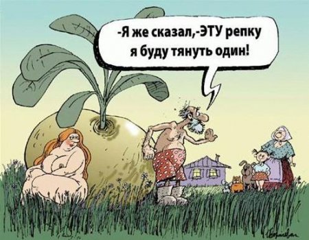репка.jpg