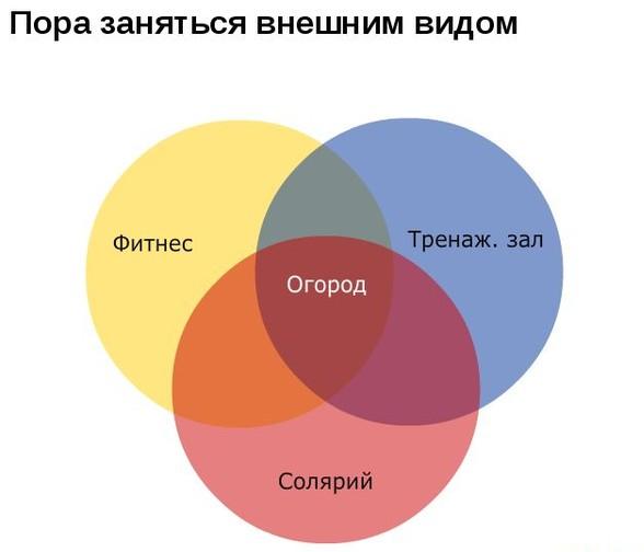 огород.jpg