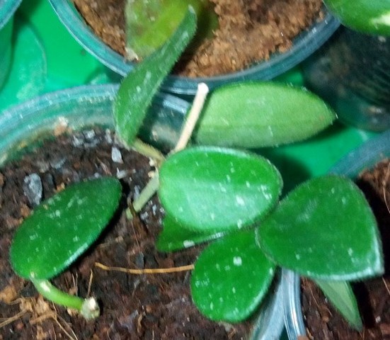 2016-06-06_134447.jpg