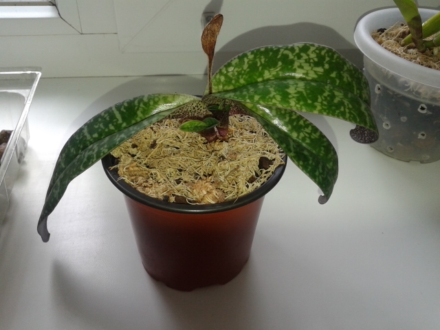 20160606_111732.jpg