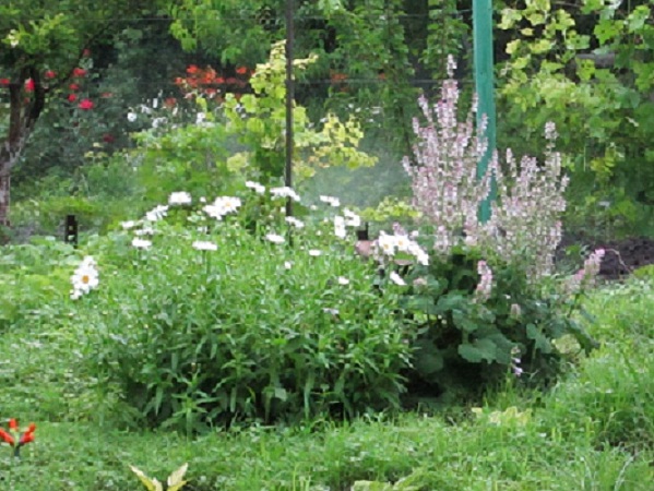 IMG_1506.JPG