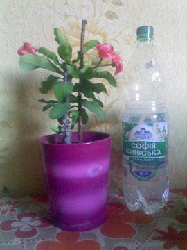 IMG02133.jpg