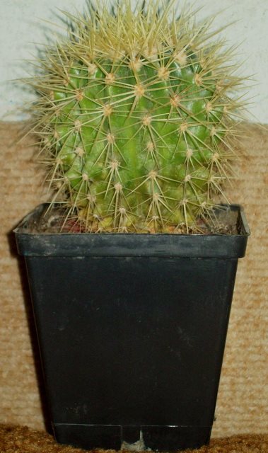 100_1734.JPG