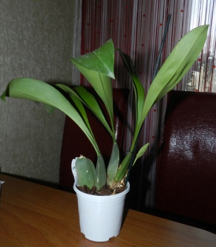 DSCN9852.JPG