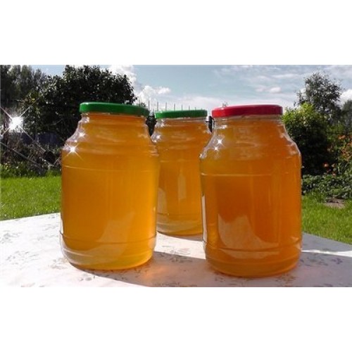 bjolyar_honey_may-500x500_143679420959.jpg