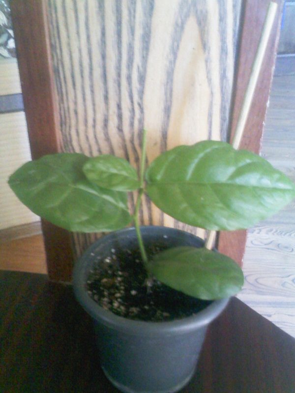 IMG02169.jpg