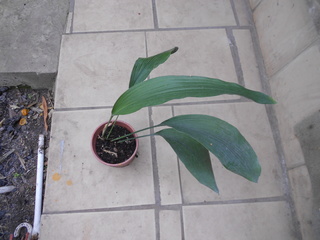 DSCN4704.jpg