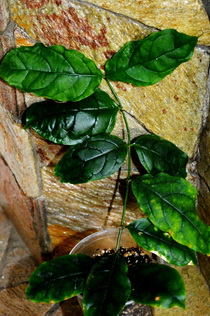 DSC_0444_exposure_новый размер.JPG