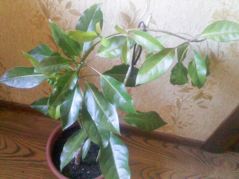IMG02171.jpg