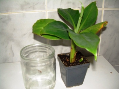 DSCN3612.JPG