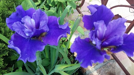 2016-05-28 17.43.04.jpg