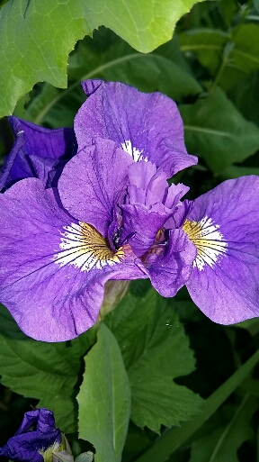 2016-07-12 14.38.54.jpg