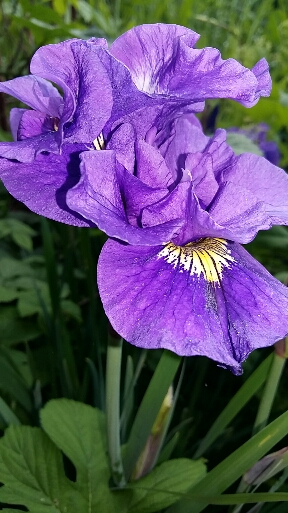 2016-07-12 14.38.35.jpg