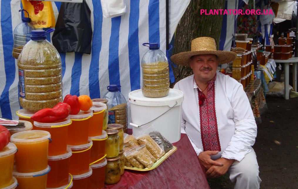 ярмарка меда 2012.jpg
