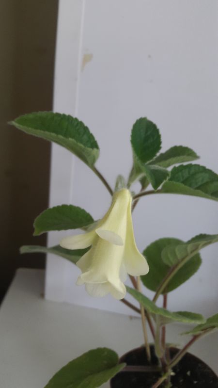 20160715_130023.JPG