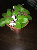 IMG_0886.jpg