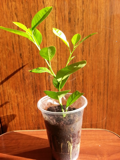 20160731_174159.jpg