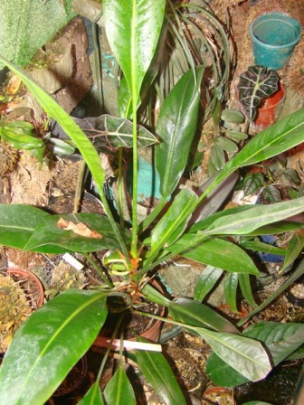 DSC02012.JPG