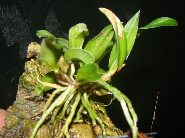 DSC01998.JPG